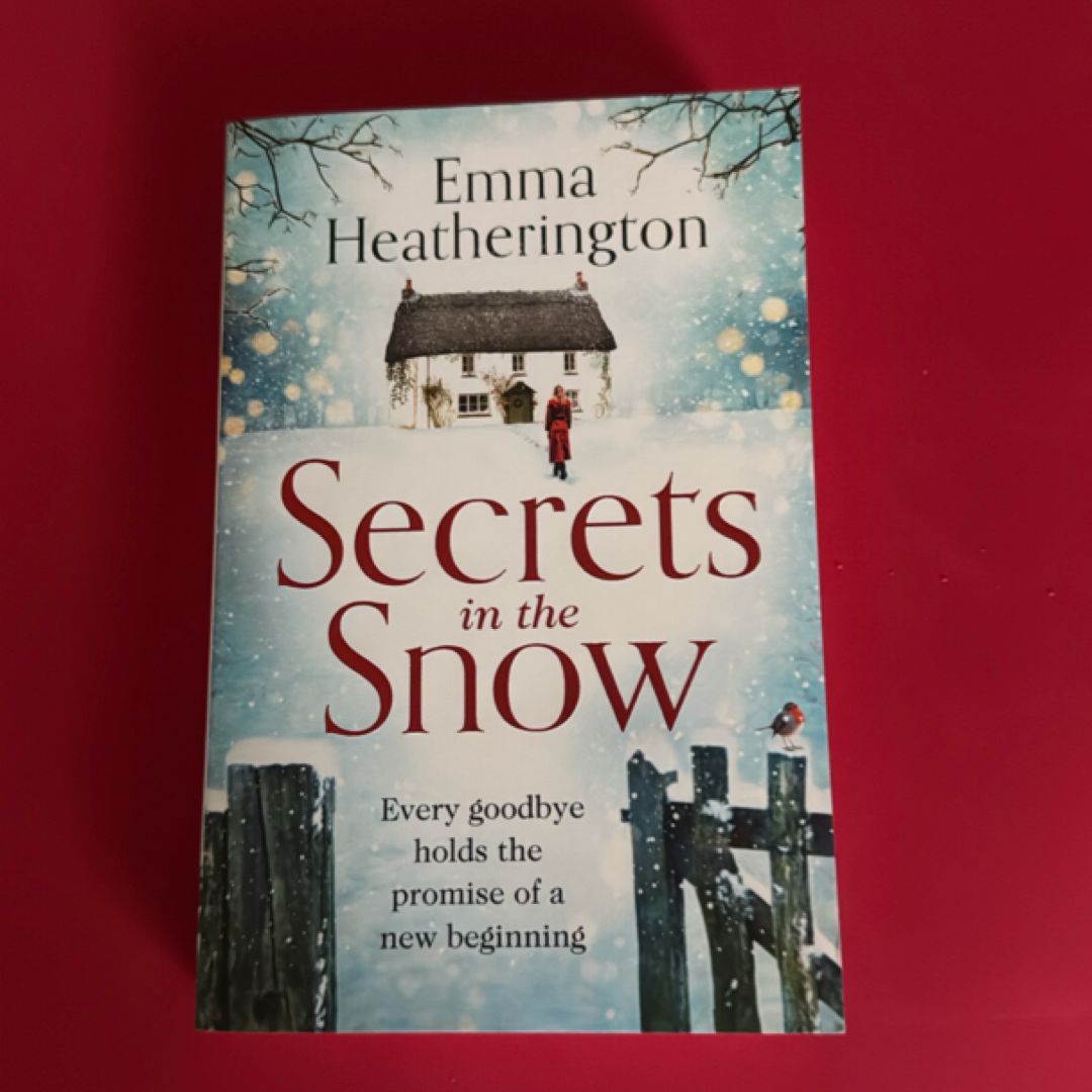 Secrets in the Snow