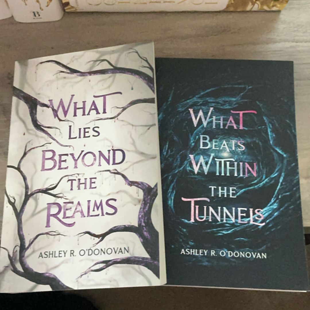 What Lies Beyond the Realms