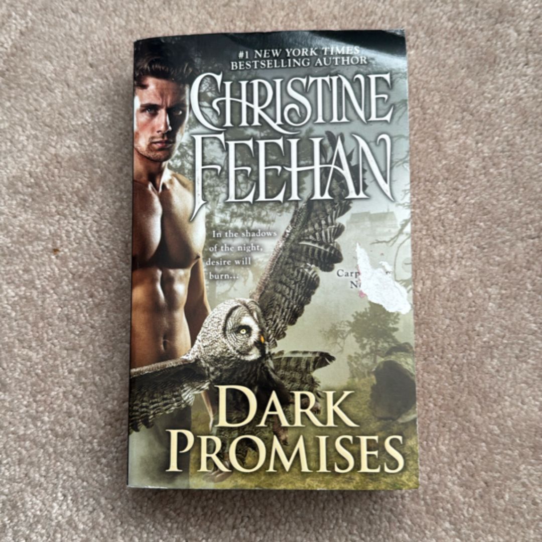Dark Promises