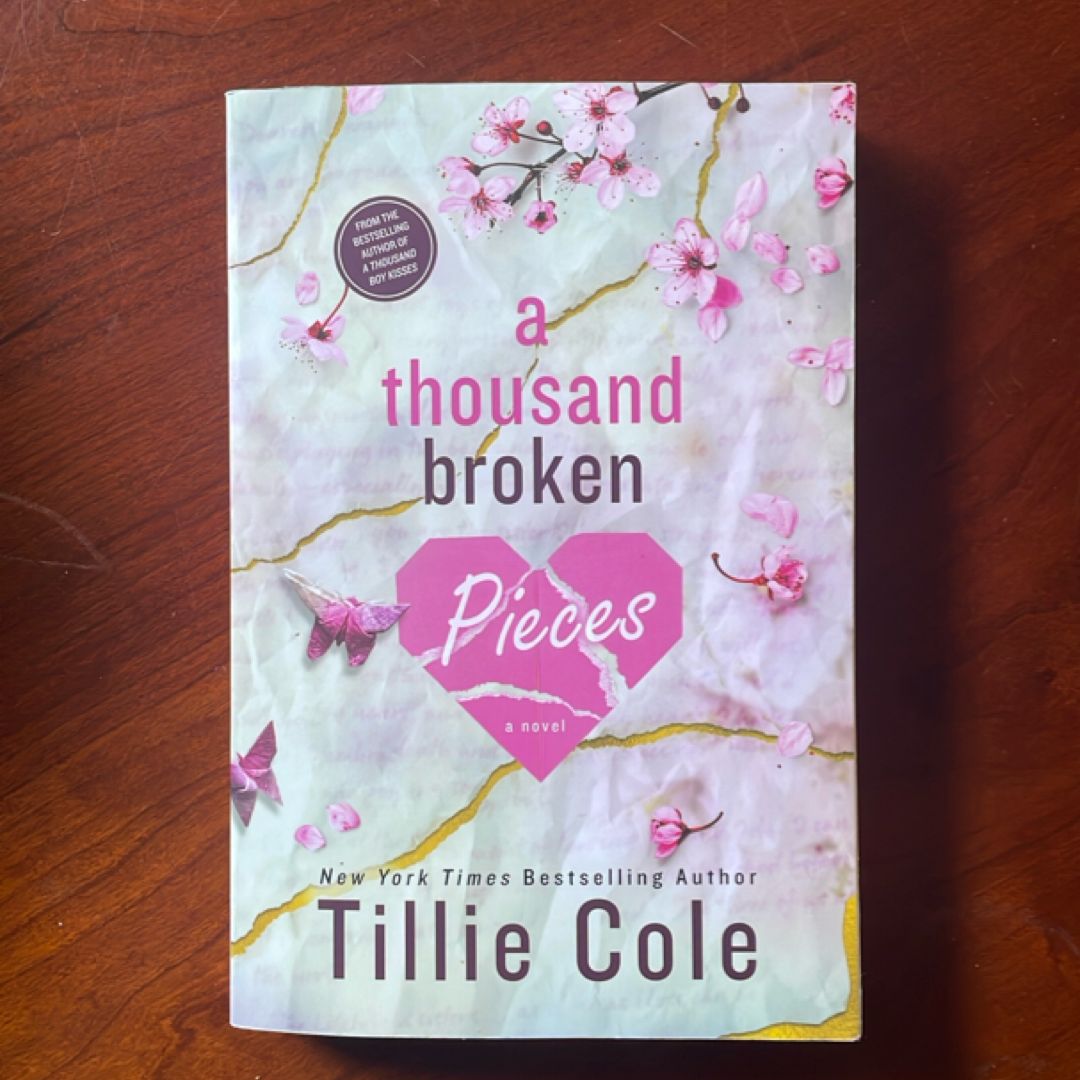A Thousand Broken Pieces