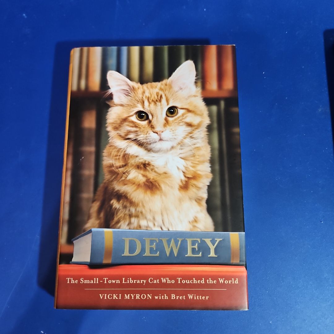 Dewey