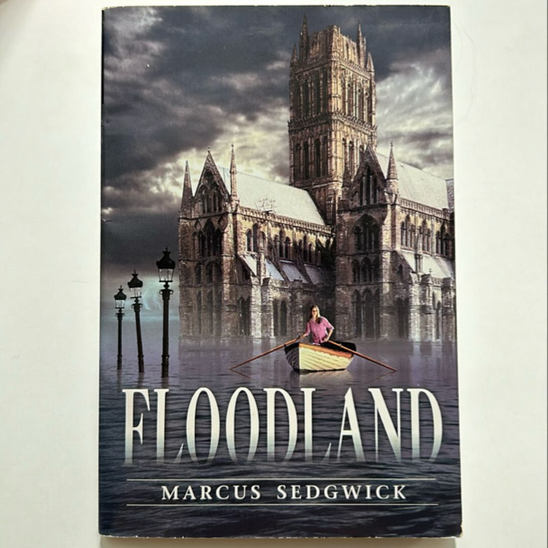 Floodland
