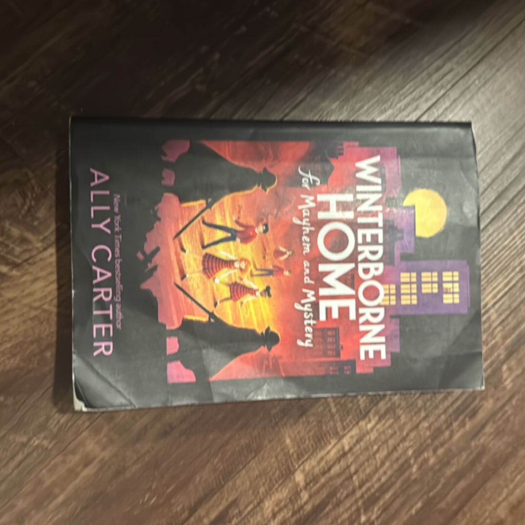Winterborne Home for Mayhem and Mystery