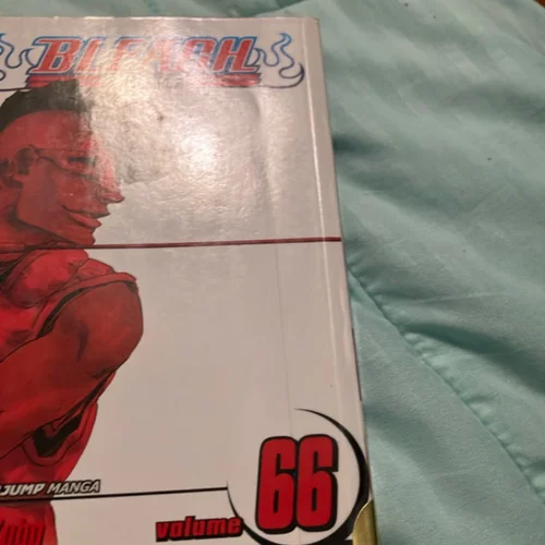 Bleach, Vol. 66
