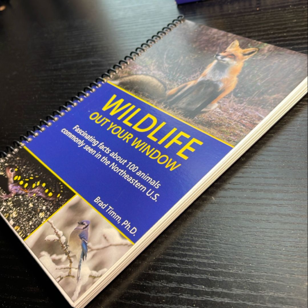 Wildlife Out Your Window