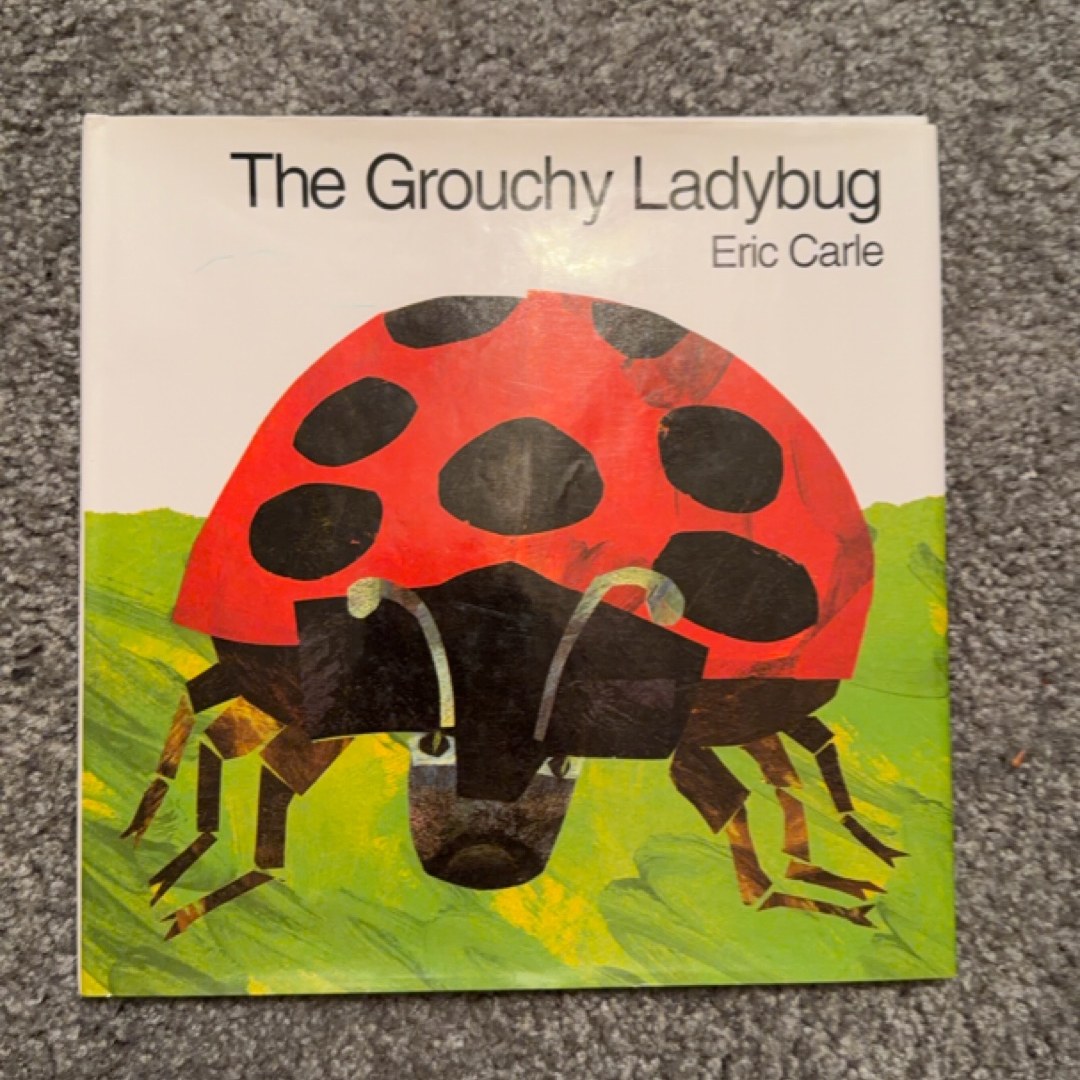 The Grouchy Ladybug