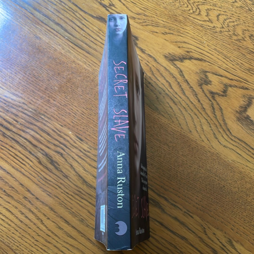 Secret Slave by Anna Ruston