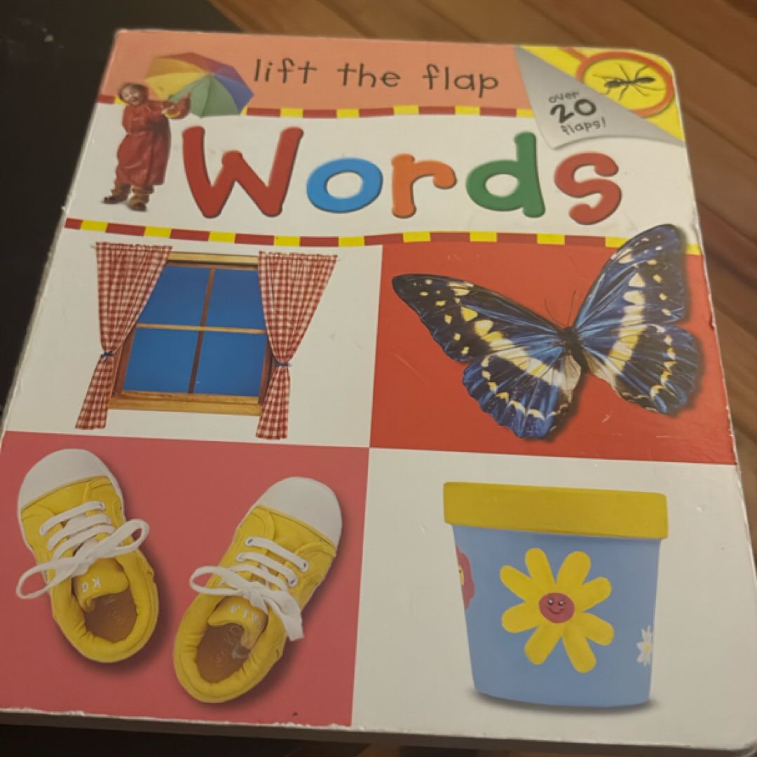 Lift the flap words