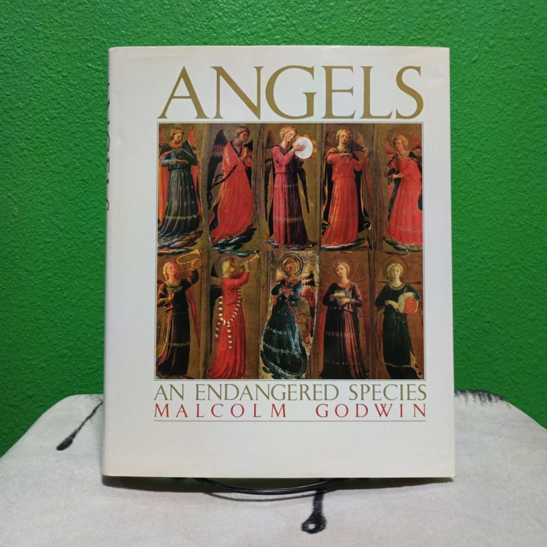 Angels - First Edition (Printing 1)
