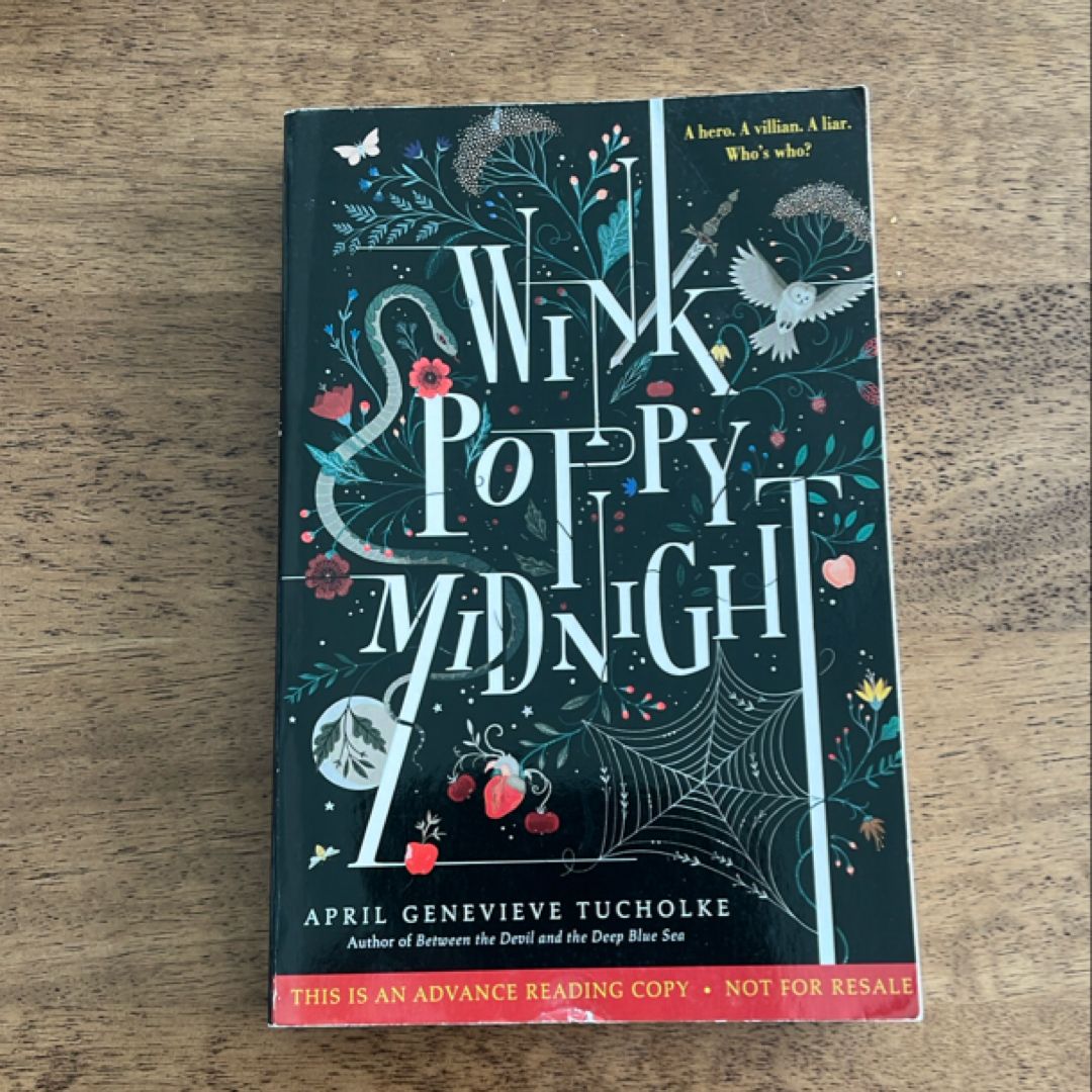 Wink Poppy Midnight