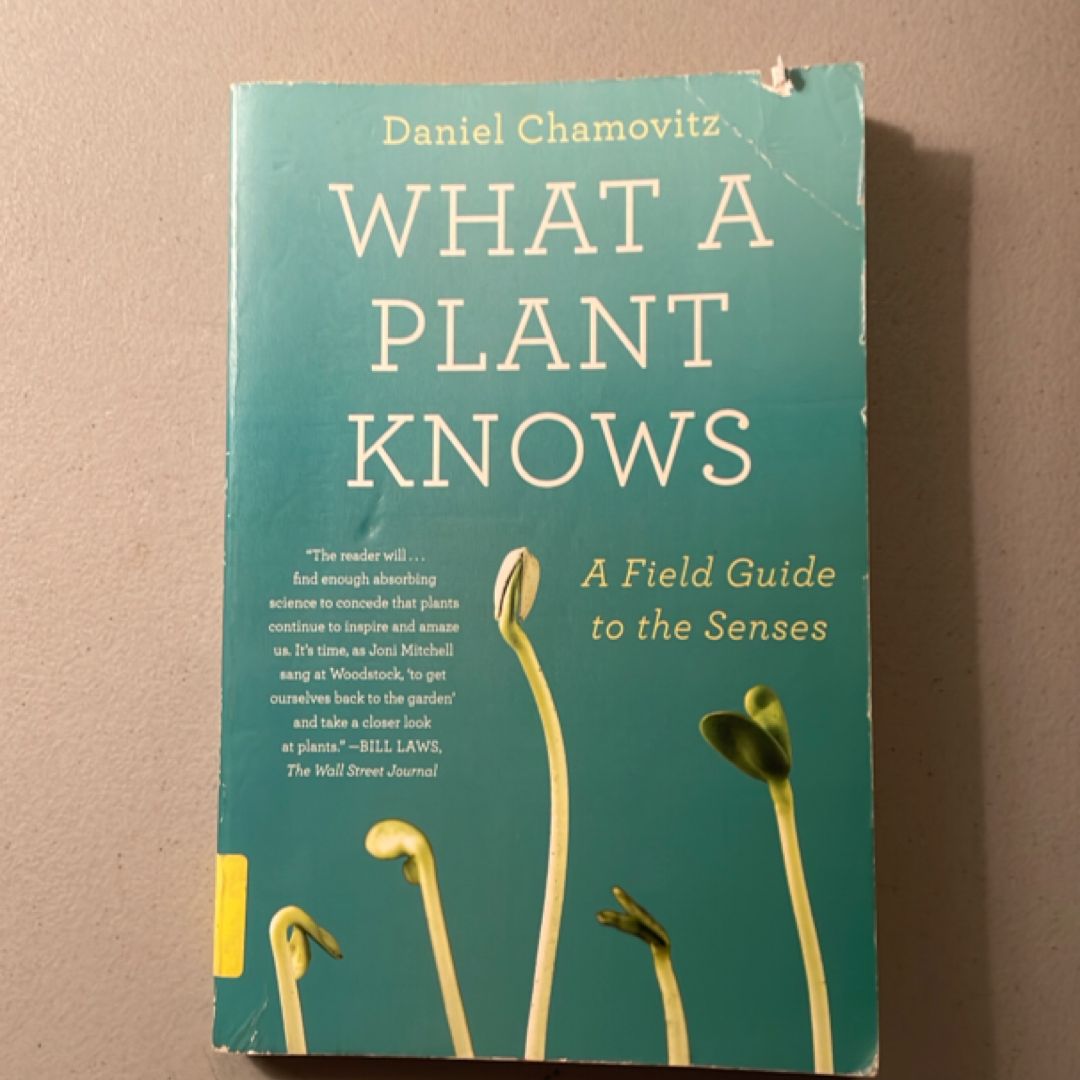 What a Plant Knows