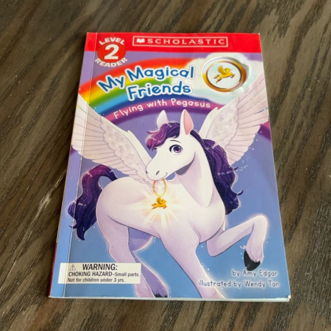 Flying with Pegasus