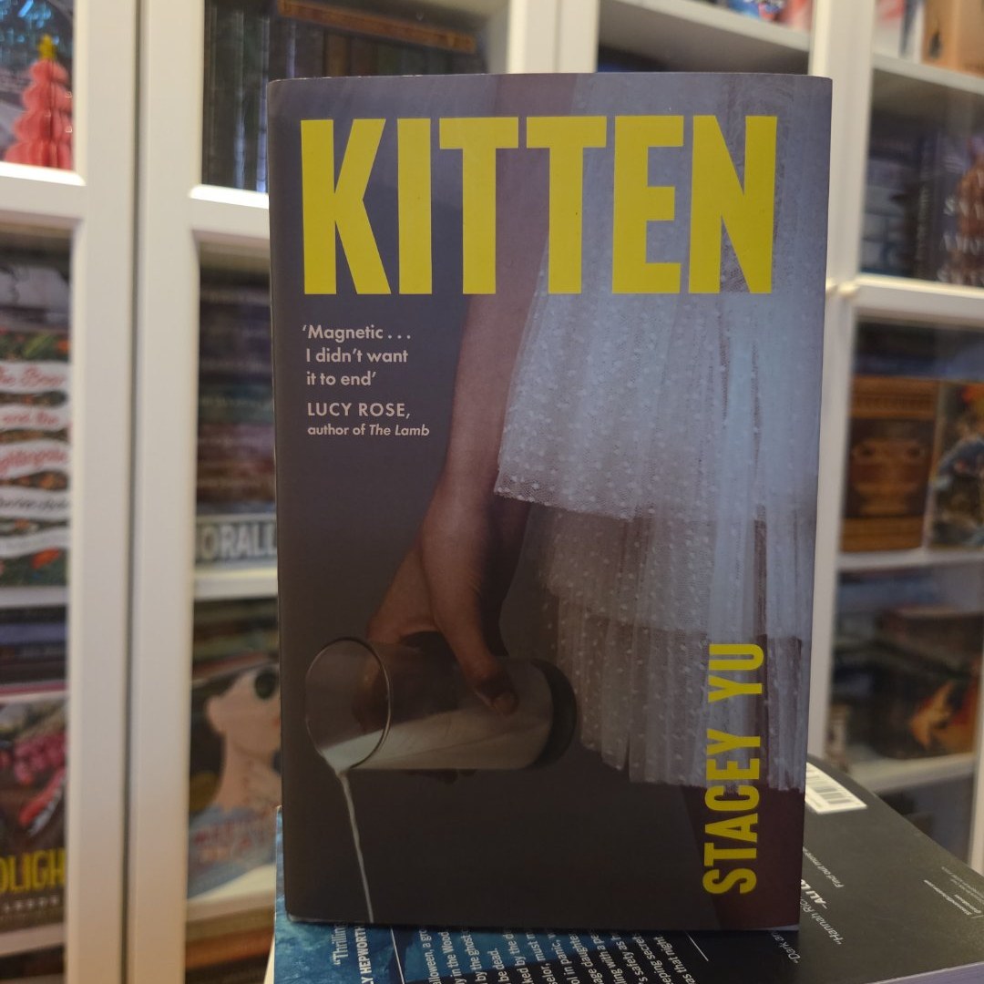 Kitten