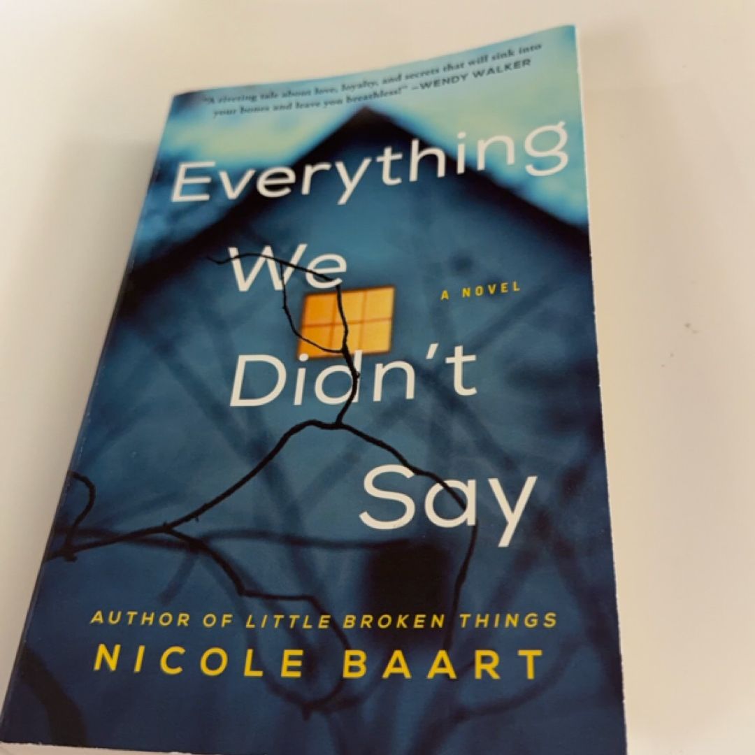 Everything We Didn't Say