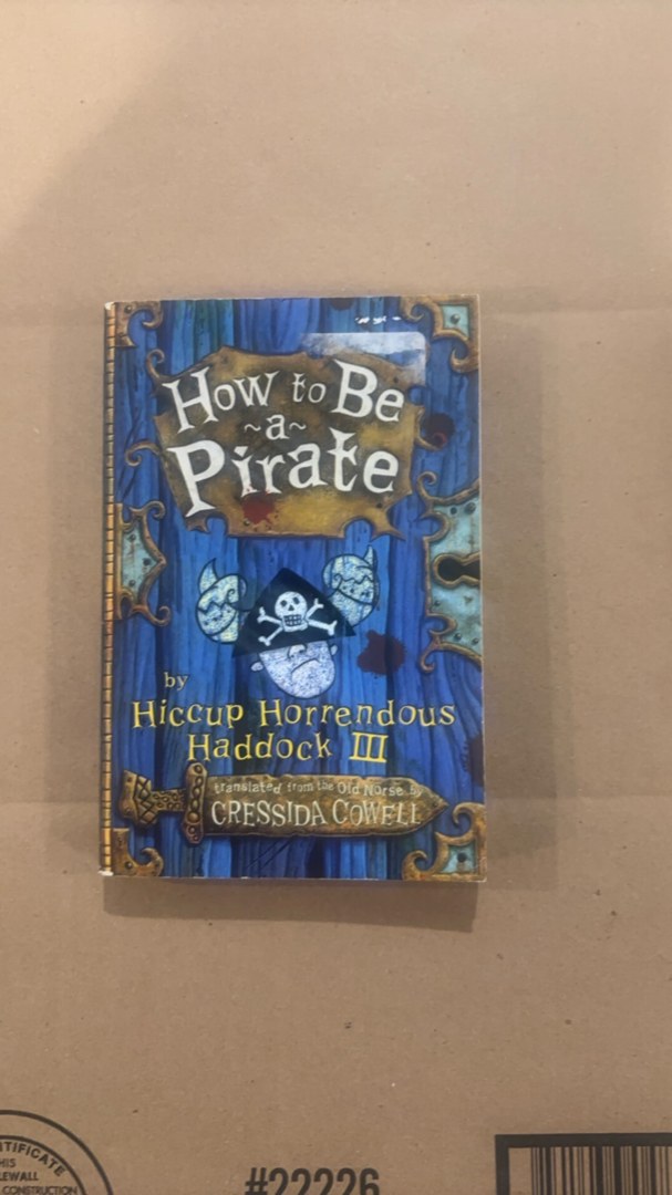 How to Train Your Dragon: How to Be a Pirate