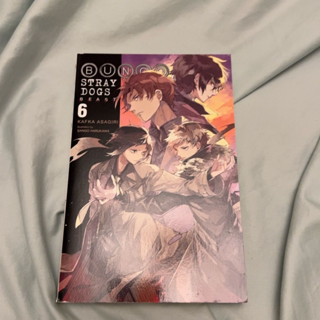 Bungo Stray Dogs, Vol. 6 (light Novel)