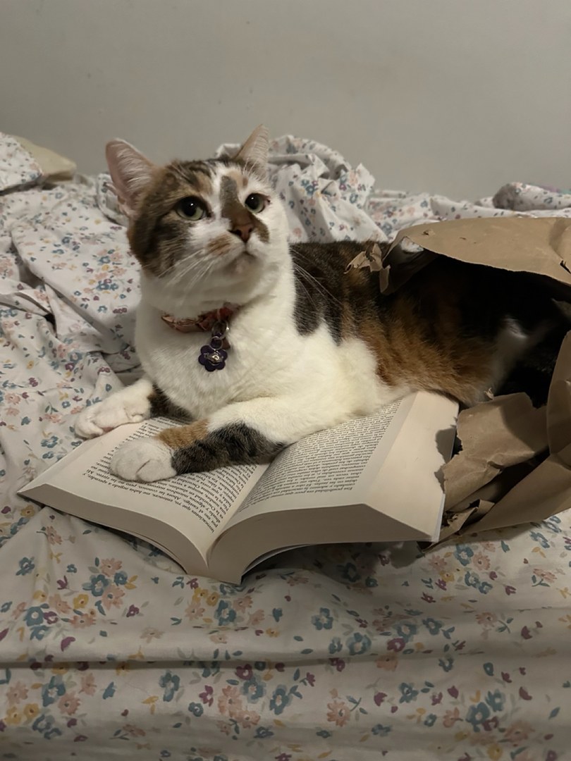 Appa’s Books