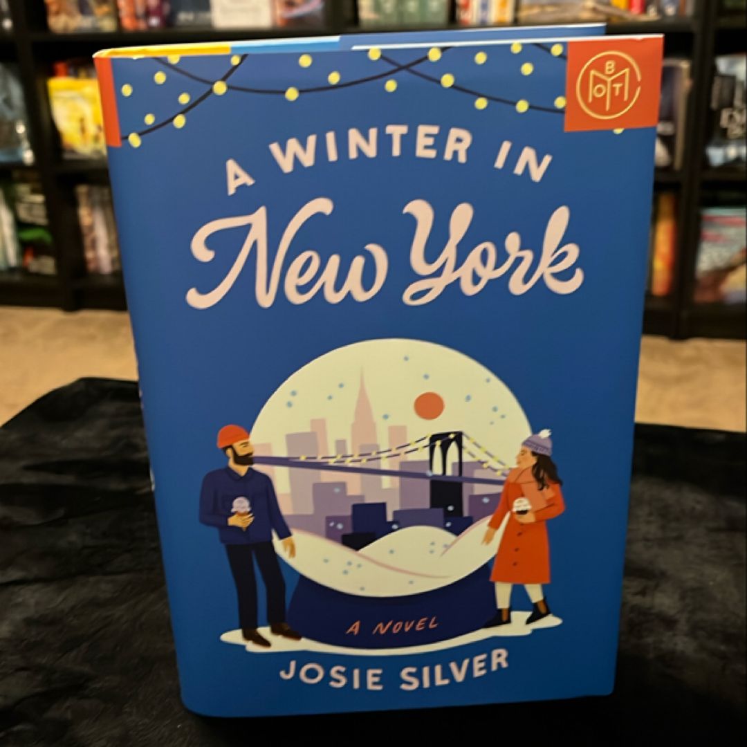 A Winter in New York
