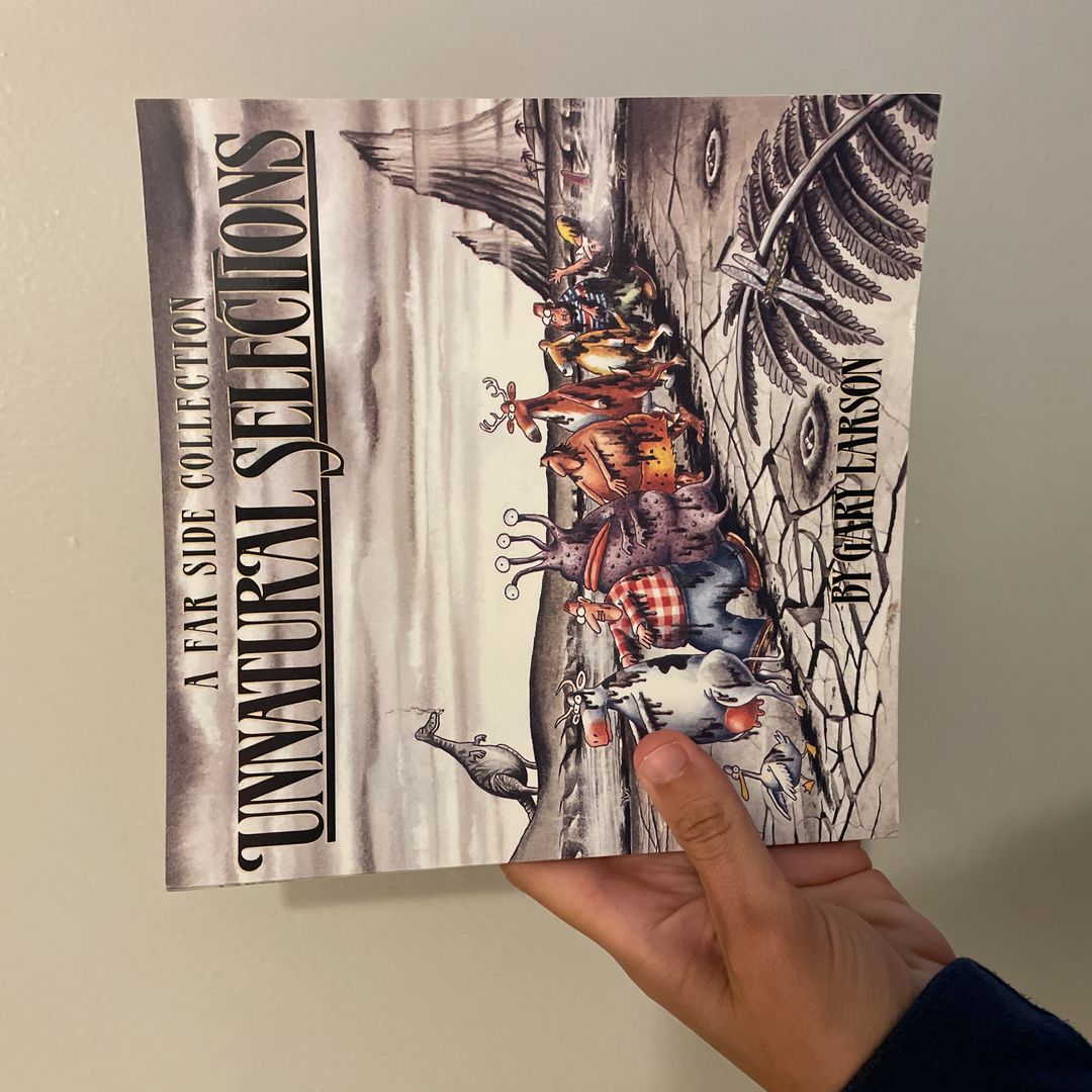 Sale image for eb9309d7-2707-4f48-b89d-4dfce51f3bd2-5kHK5E1EFZh8OjoOHbaOnYZPcao2