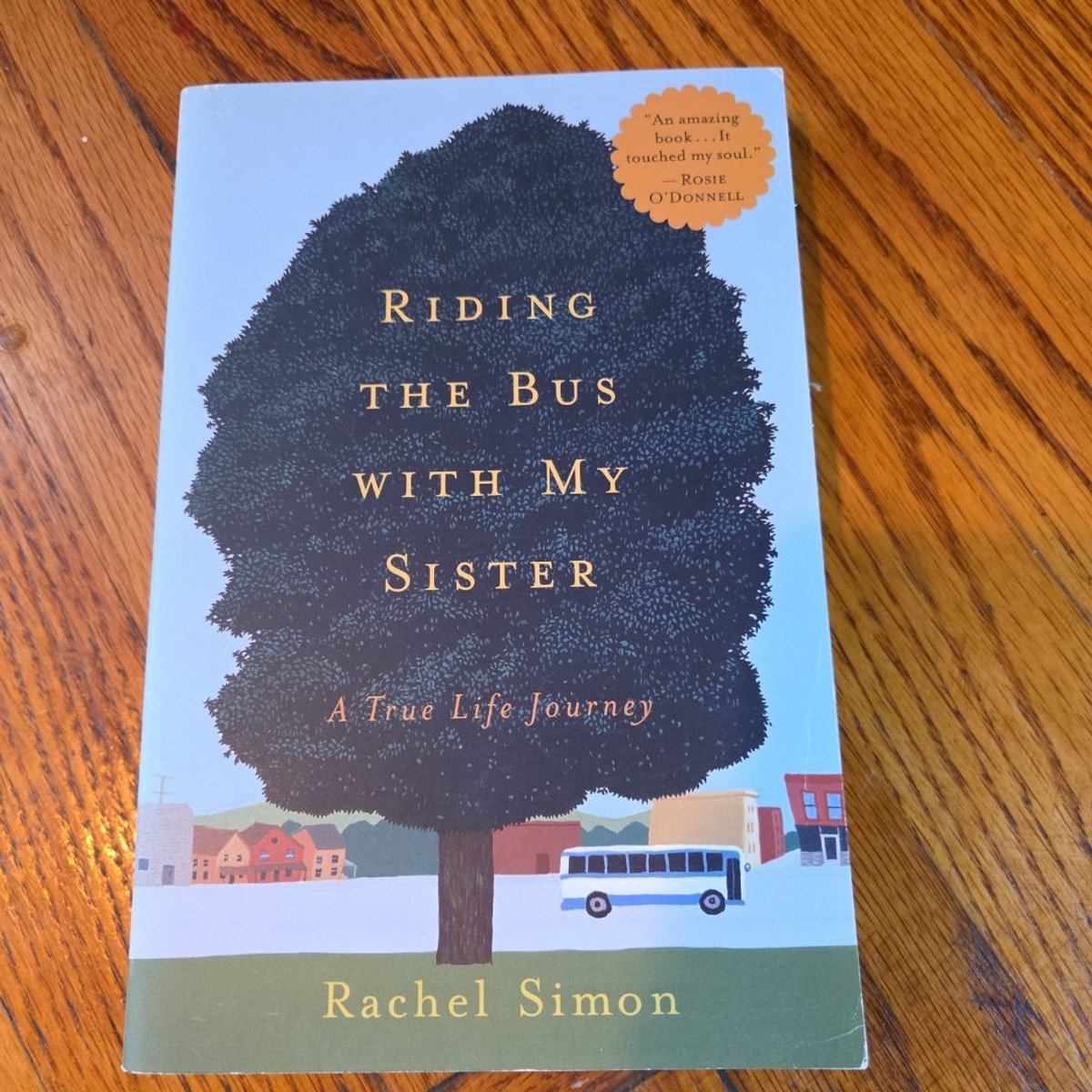 Riding the Bus with My Sister by Rachel Simon