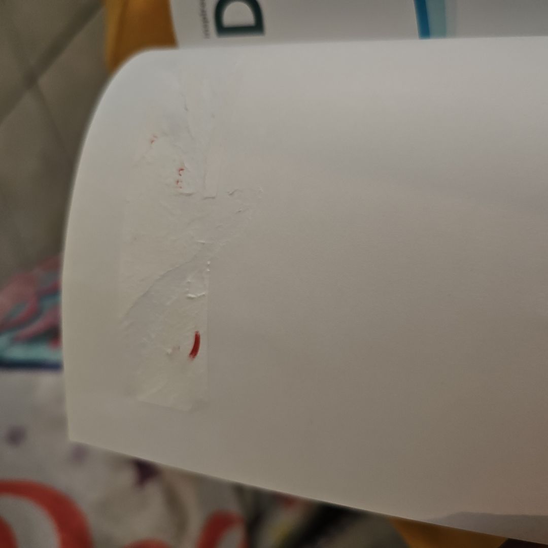 Dolphin Tale 2: Movie Reader*