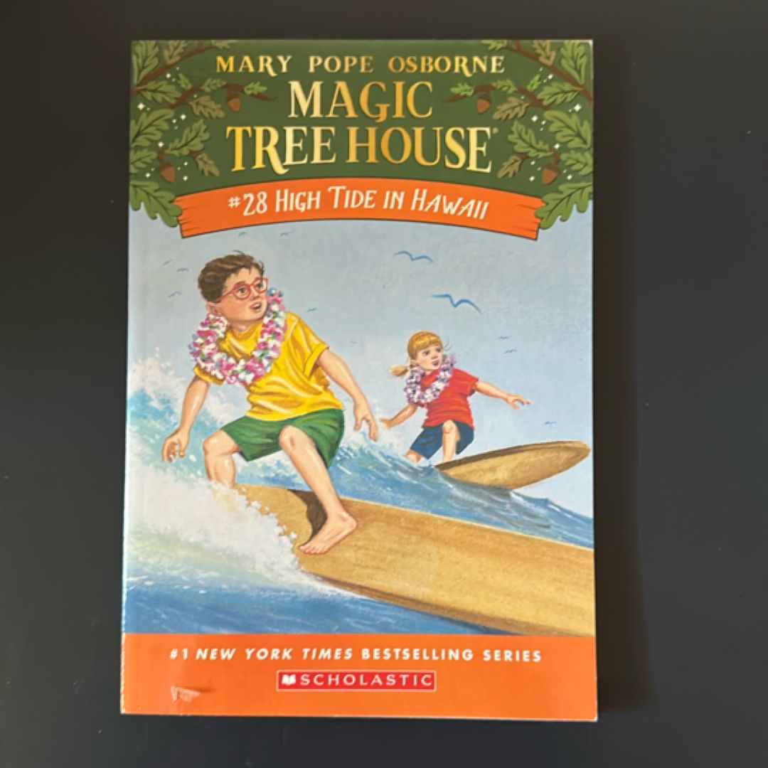 Magic Treehouse # 28