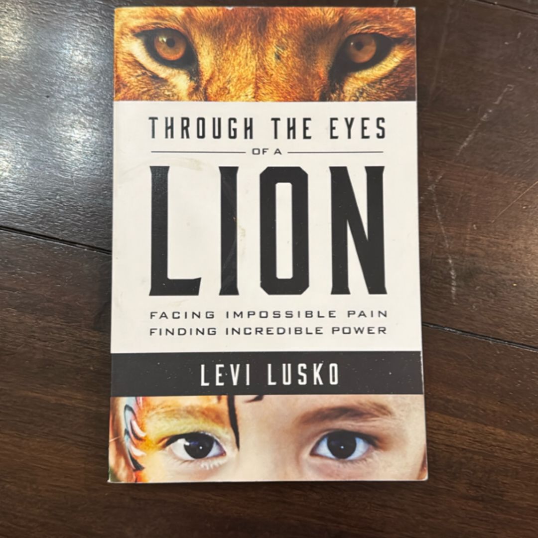 Through the Eyes of a Lion