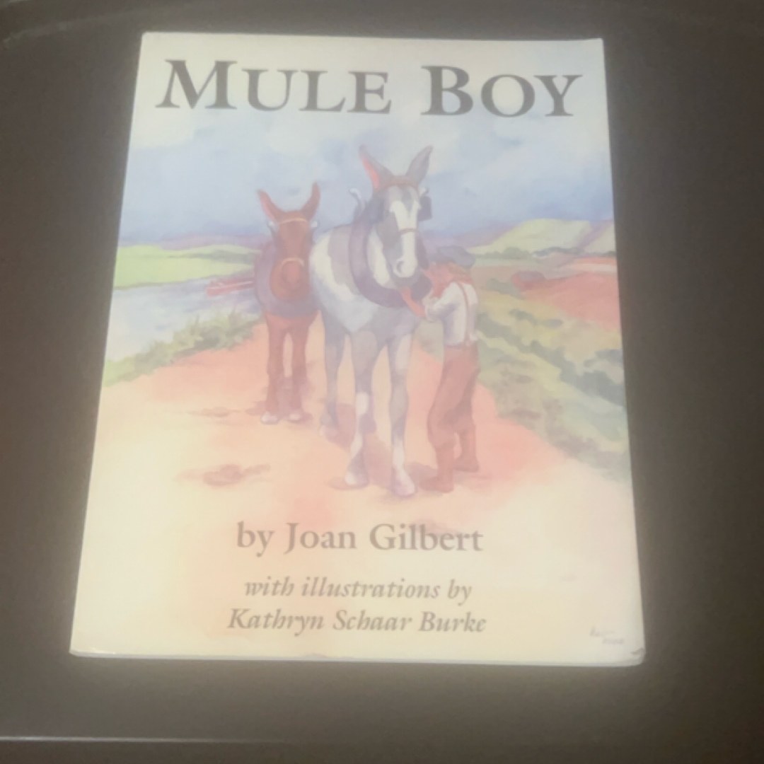 Mule Boy