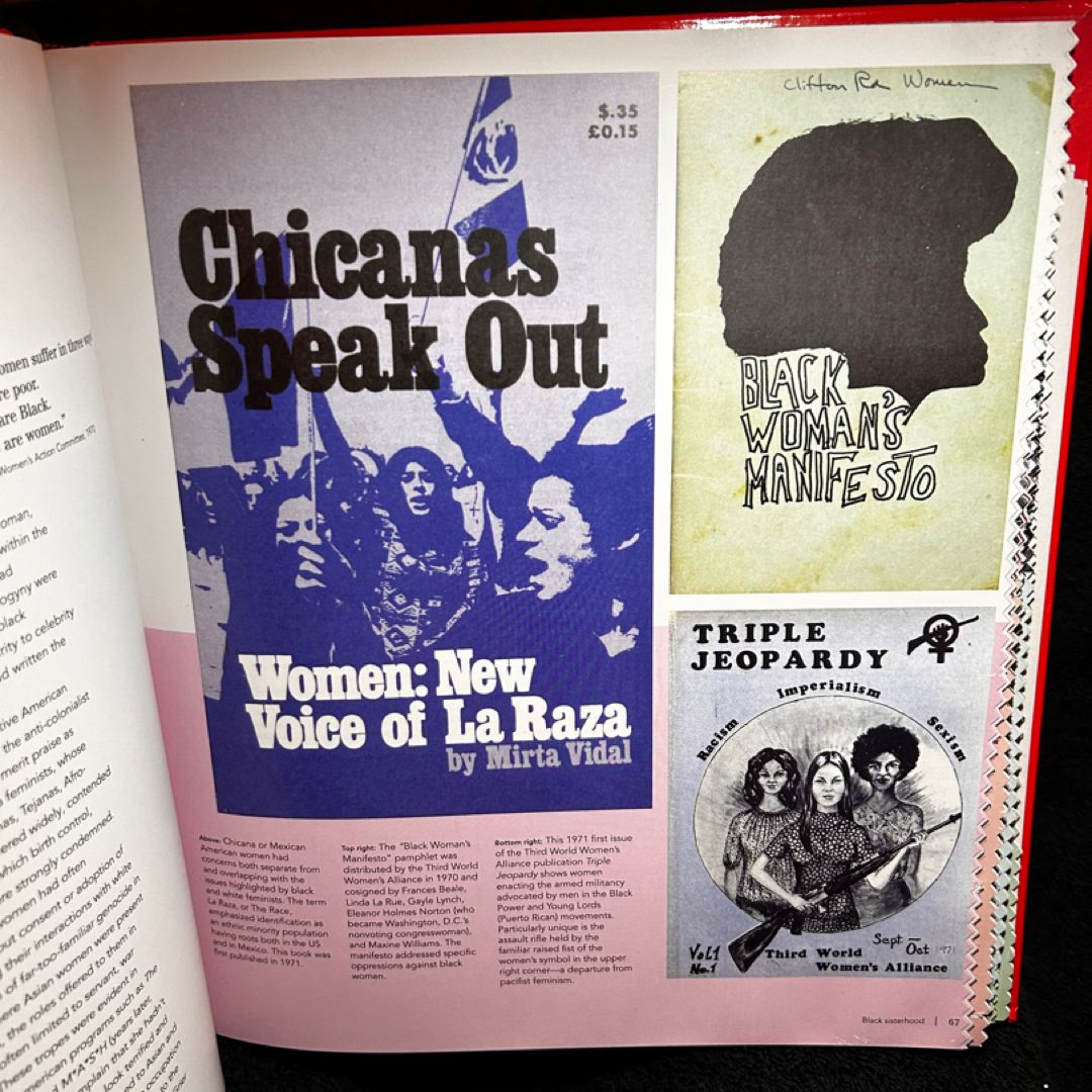 The Feminist Revolution