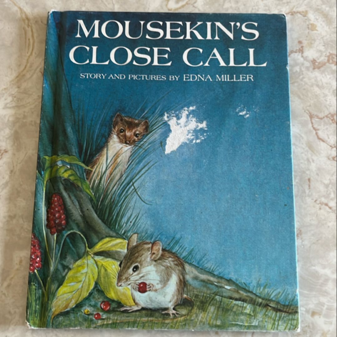 Mousekin's Close Call
