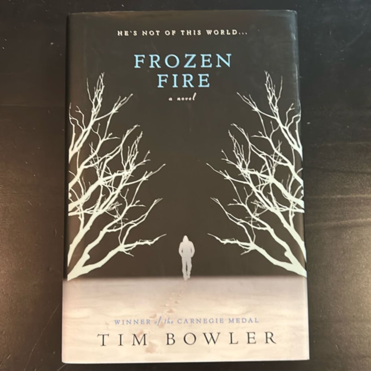 Frozen Fire by Tim Bowler, Hardcover | PangoBooks