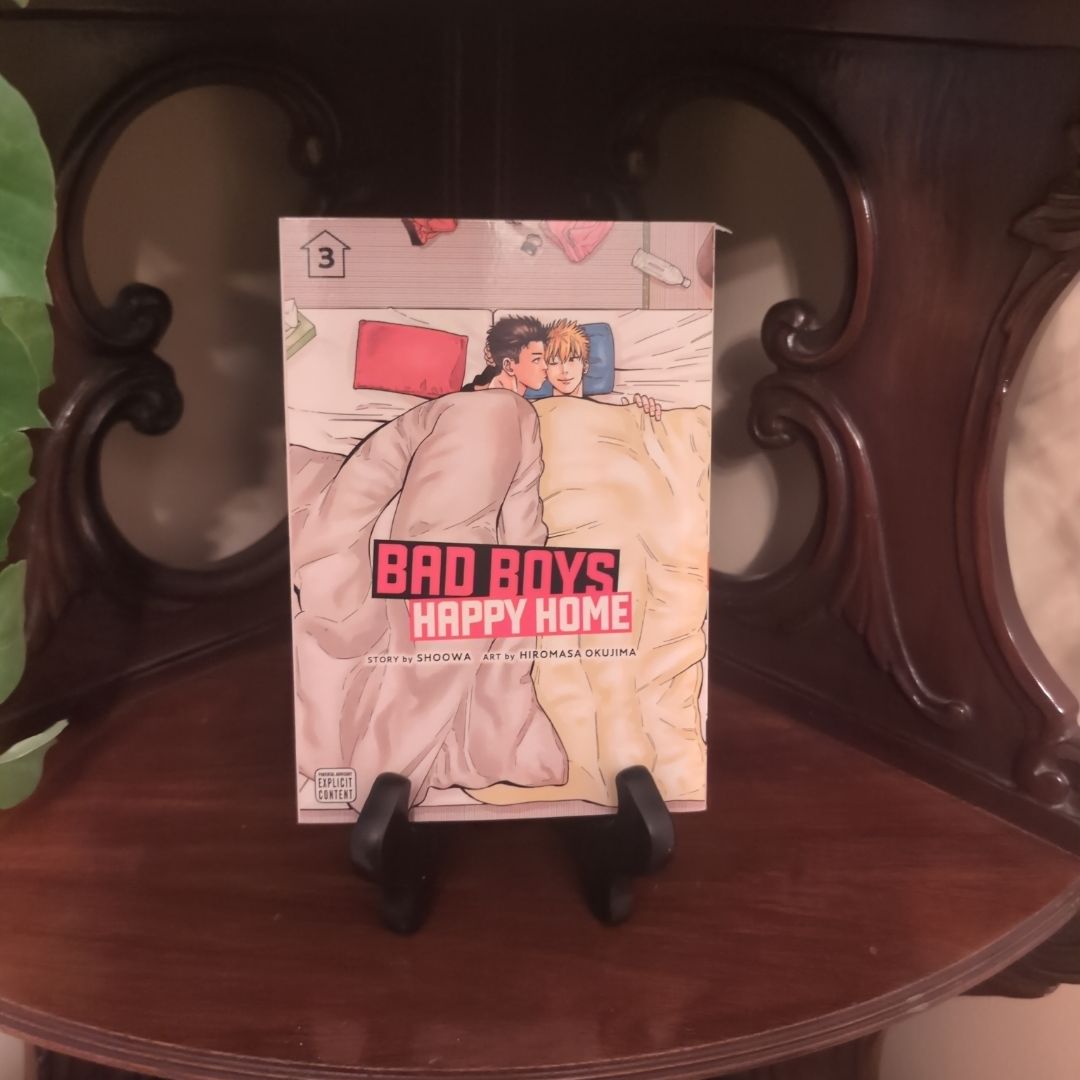 Bad Boys, Happy Home, Vol. 3