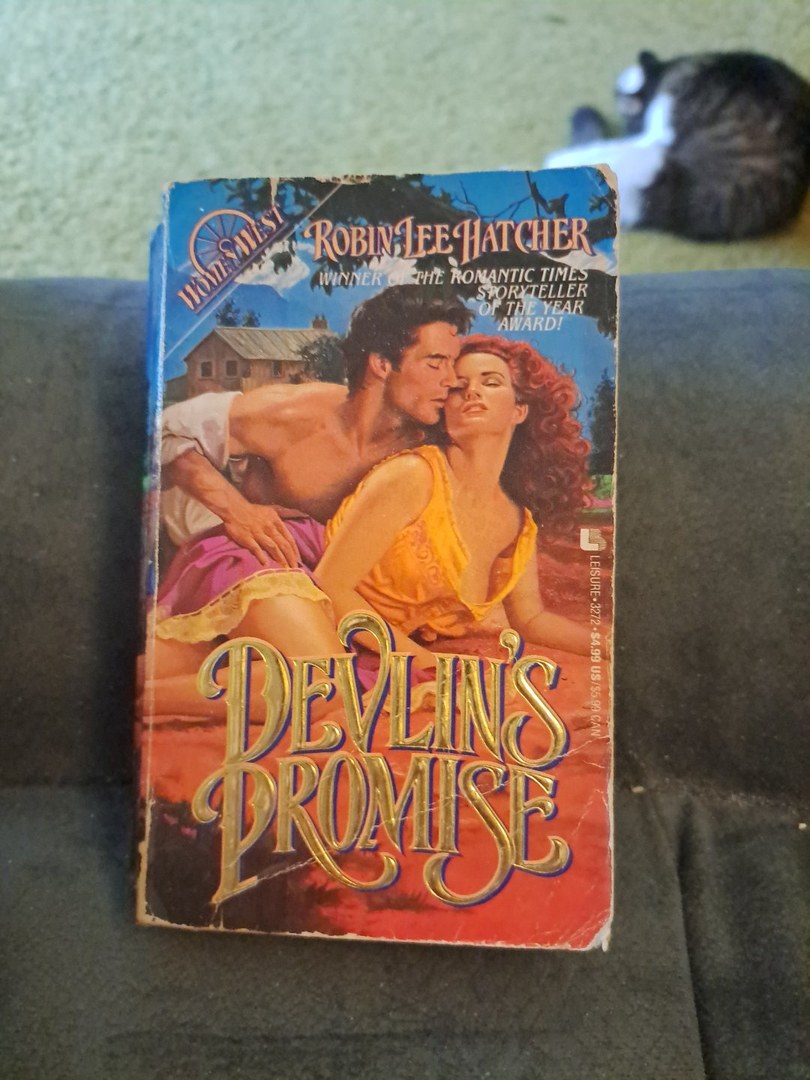 Devlin's Promise