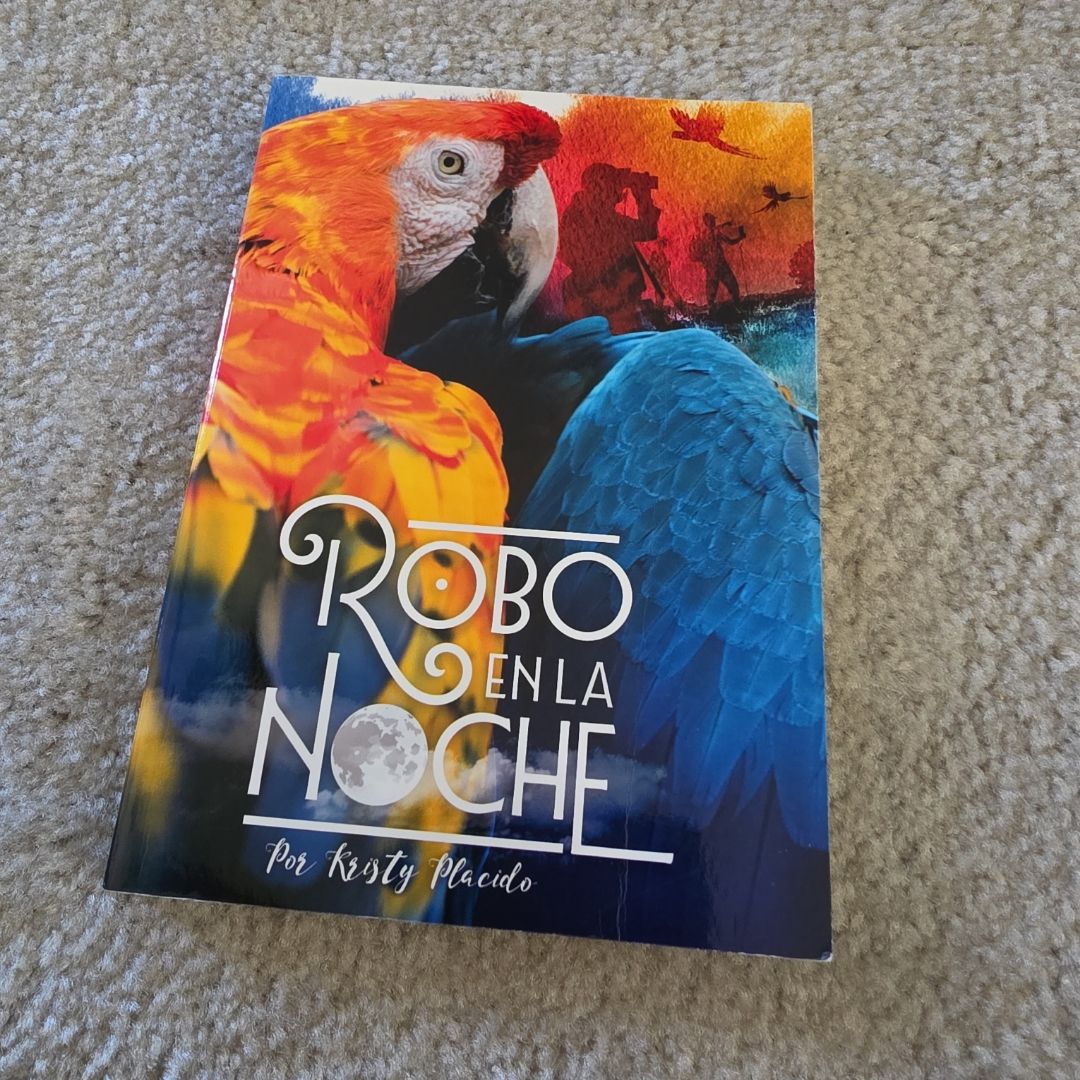 Robo en la Noche by Kristy Placido