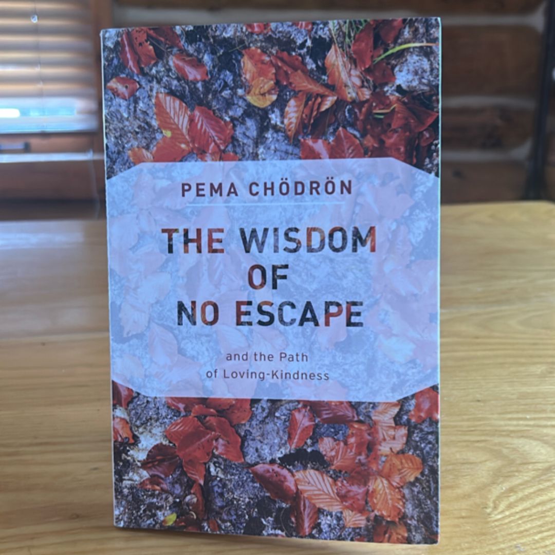 The Wisdom of No Escape