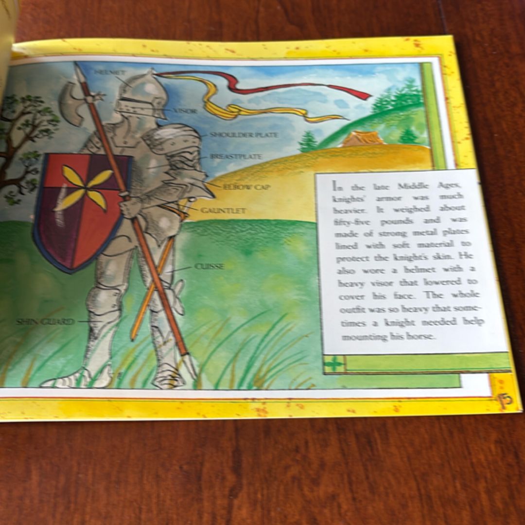 Knights in Shining Armor