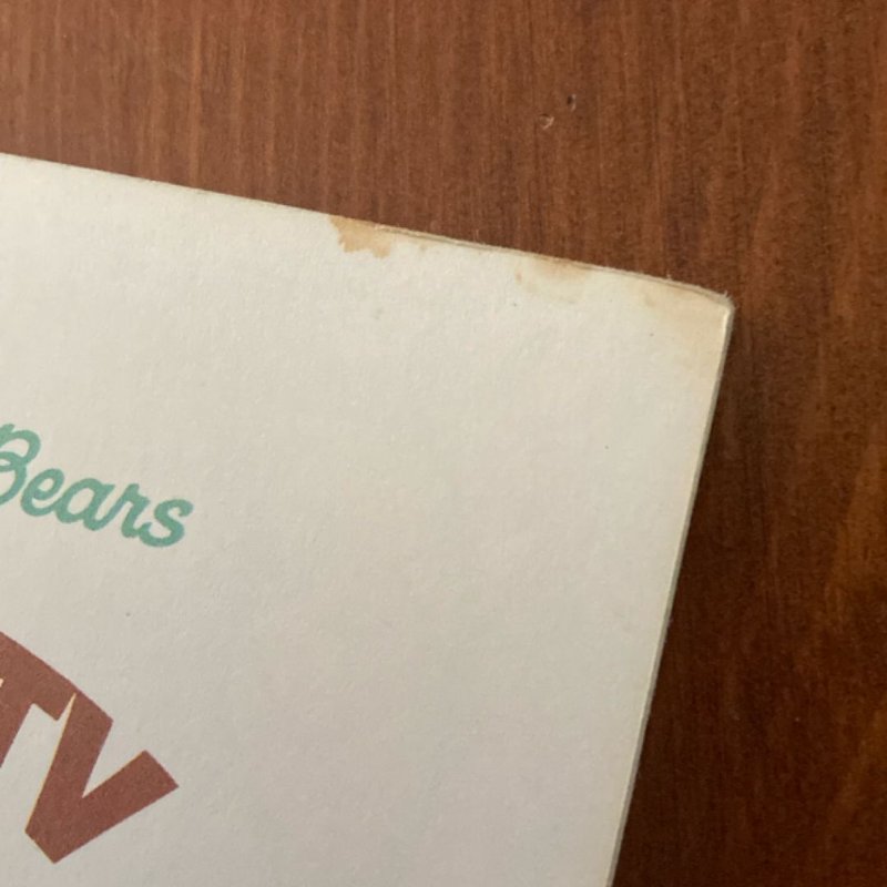 The Berenstain Bears and Too Much TV