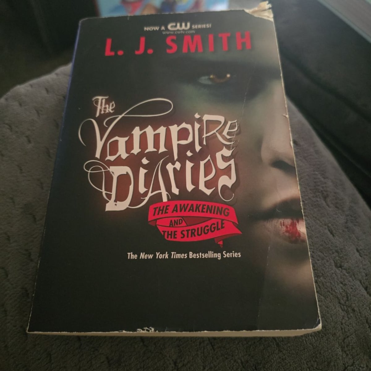 The Vampire Diaries: the Awakening and the Struggle by L. J. Smith ...