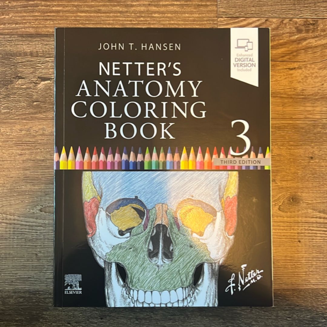 Netter's Anatomy Coloring Book Updated Edition by John T. Hansen