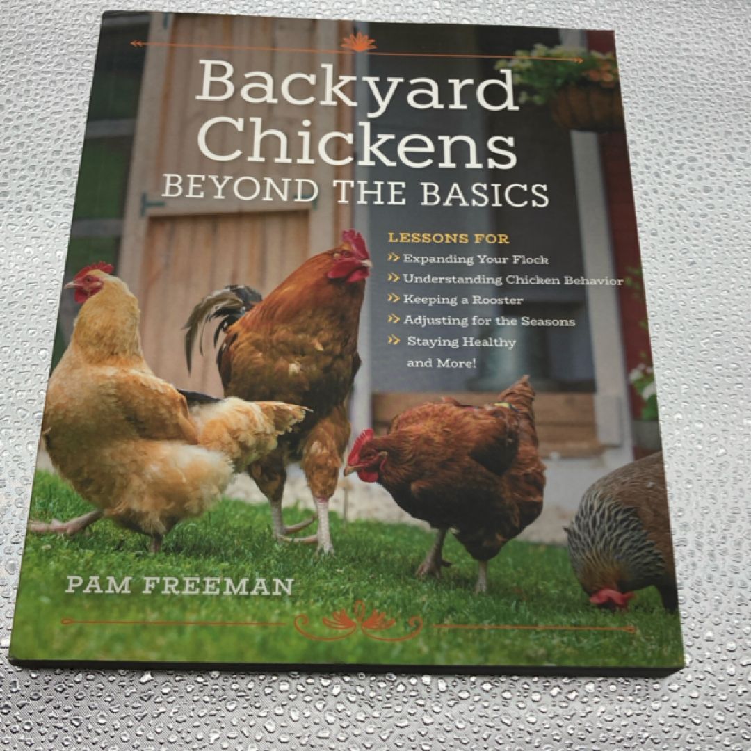 Backyard Chickens Beyond the Basics