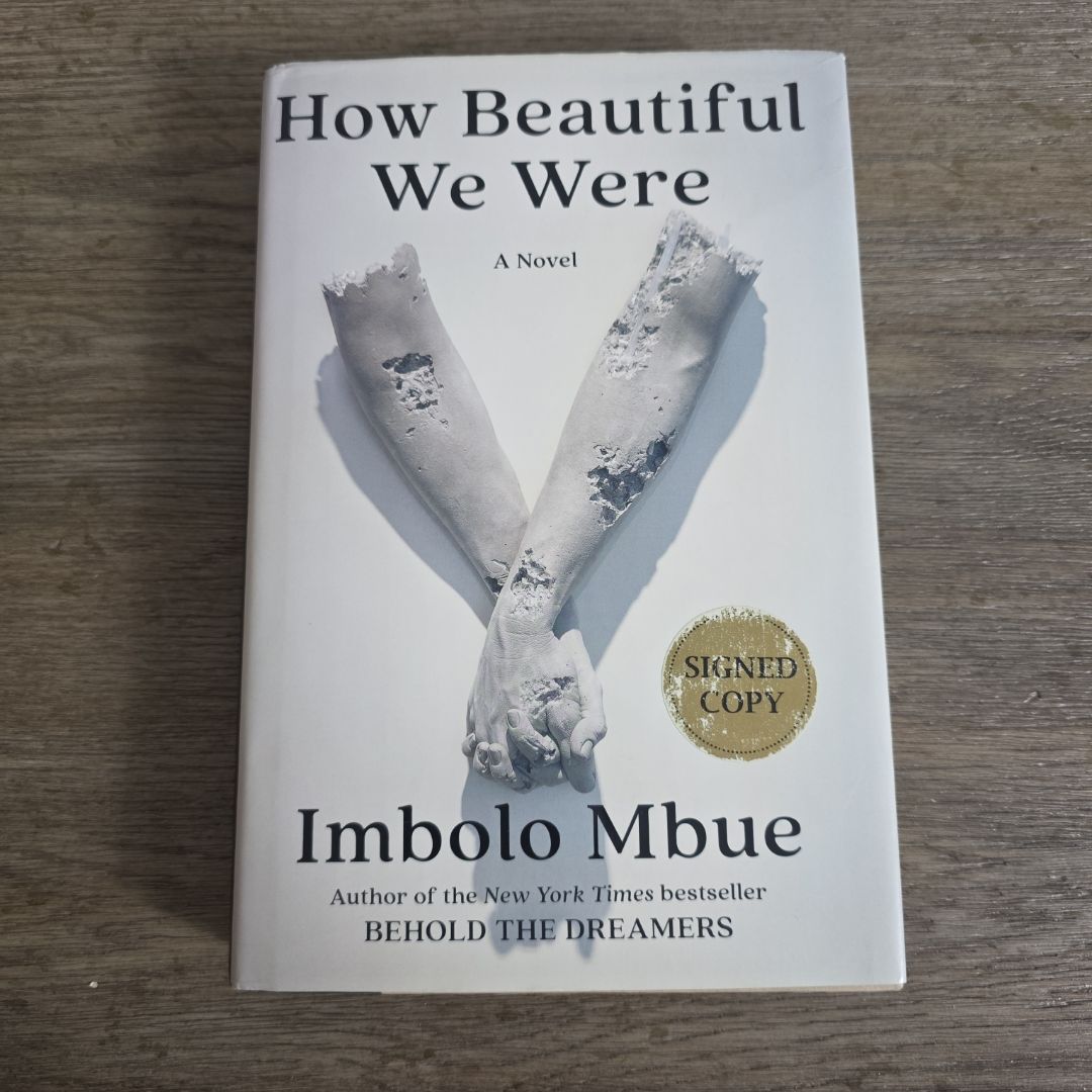 How Beautiful We Were