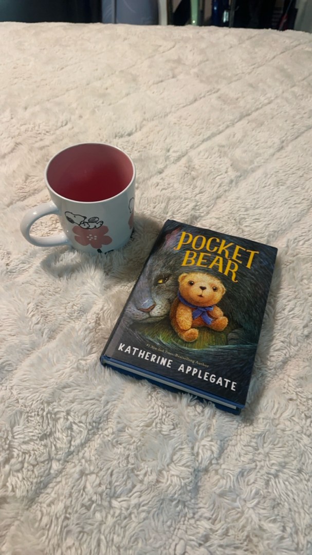 Pocket Bear