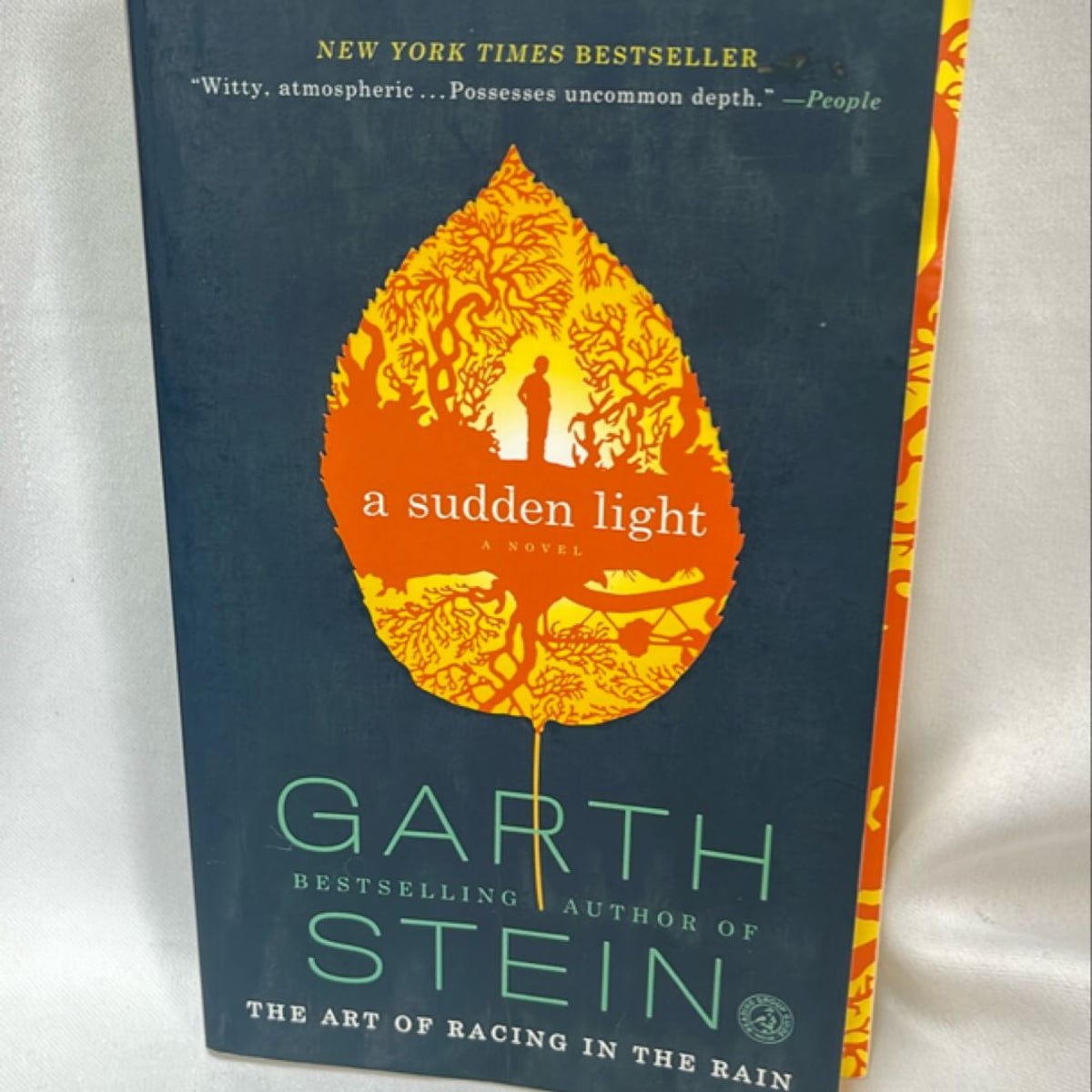 A Sudden Light by Garth Stein, Paperback | Pangobooks
