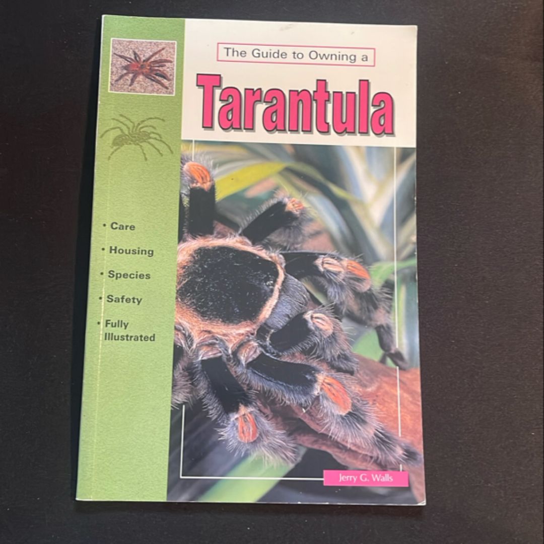 The Guide to Owning a Tarantula
