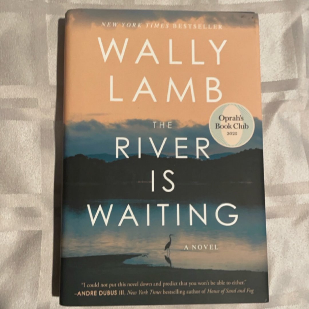 The River Is Waiting (Oprah's Book Club)