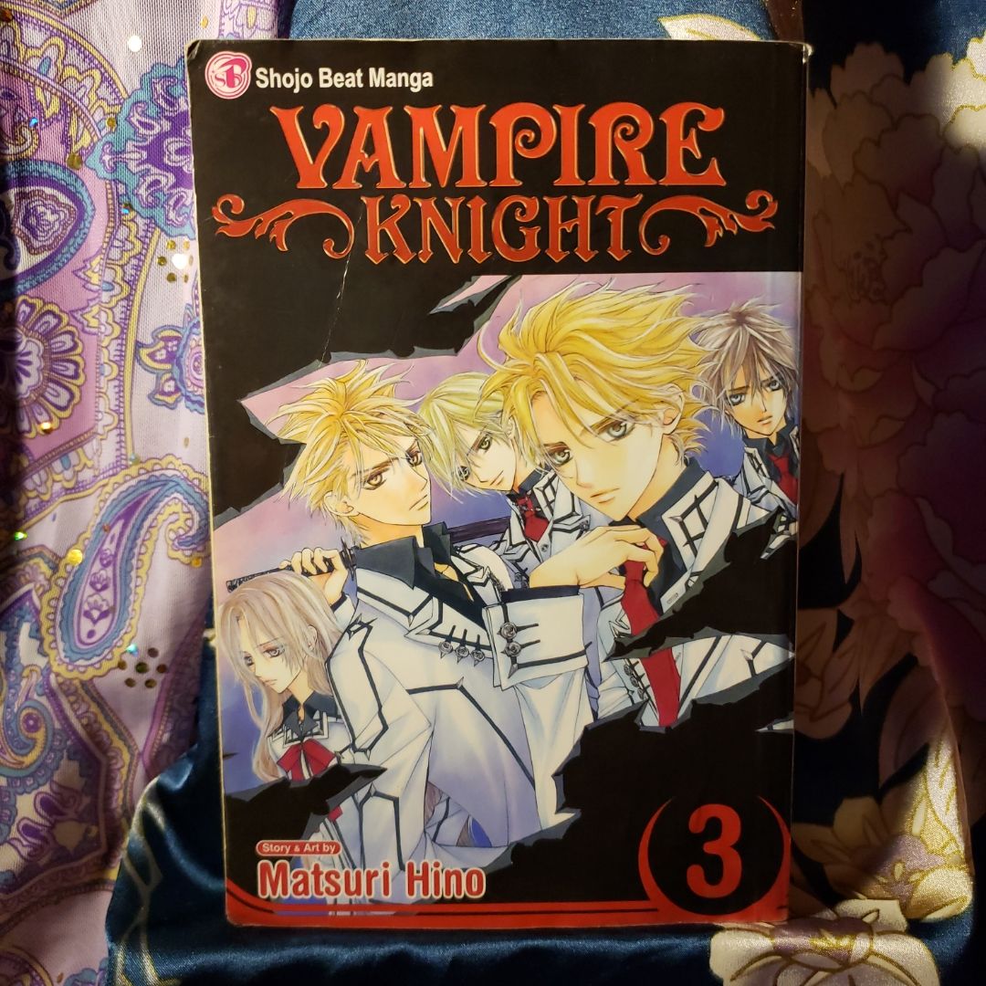 Vampire Knight, Vol. 3