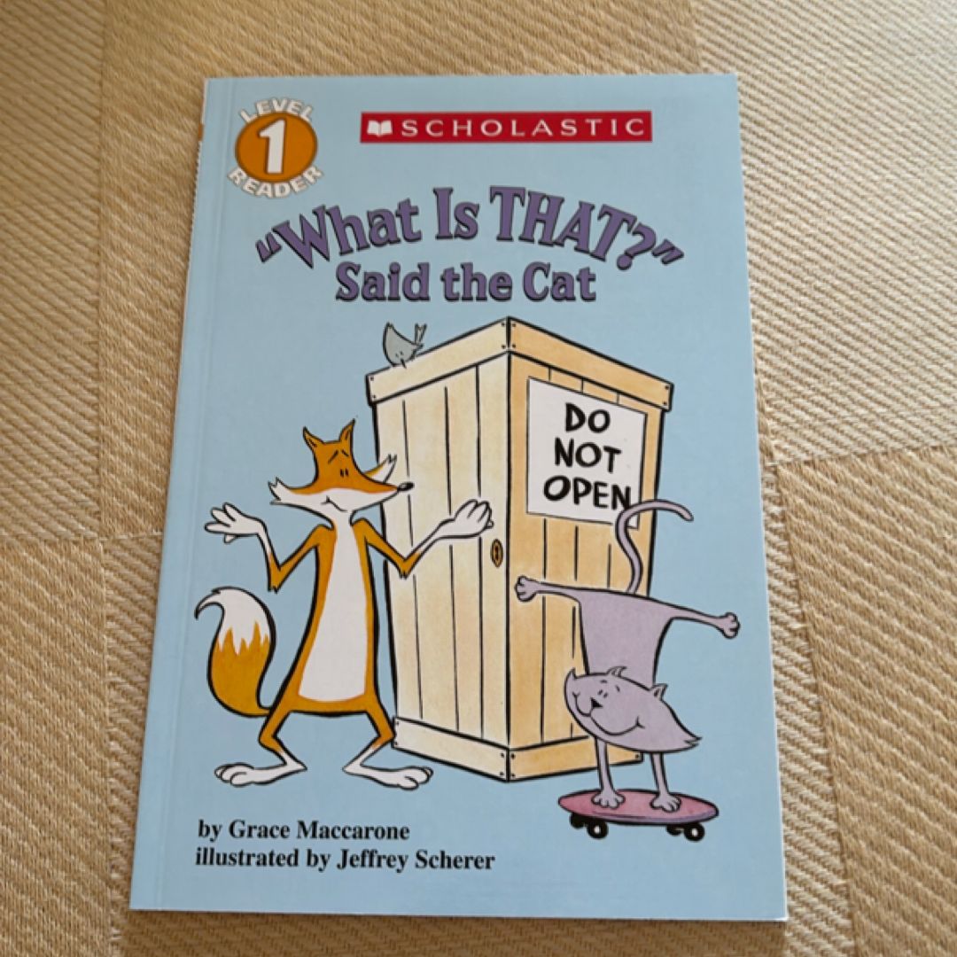 "What Is That?" Said the Cat, Level 1