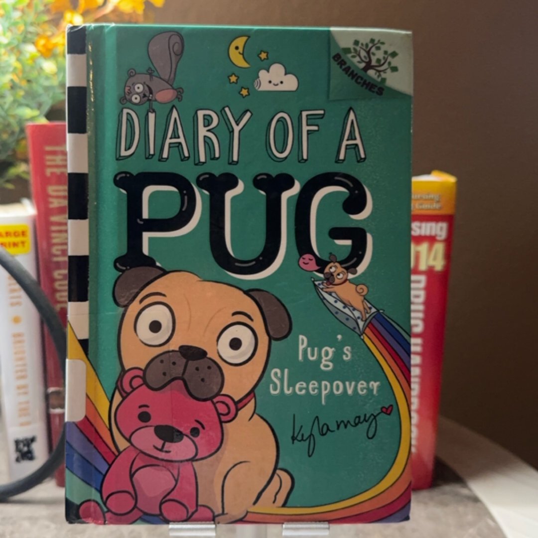 Pug's Sleepover