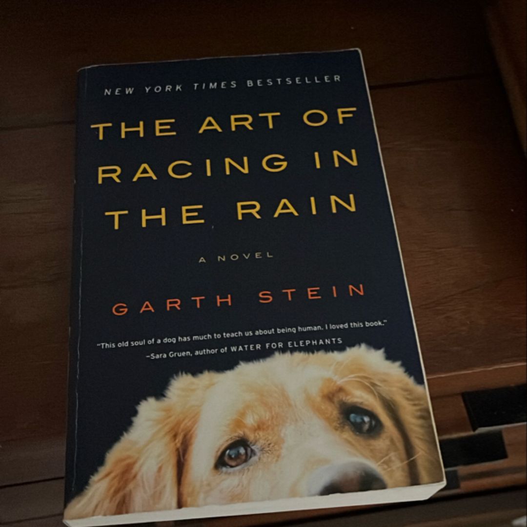 The Art of Racing in the Rain
