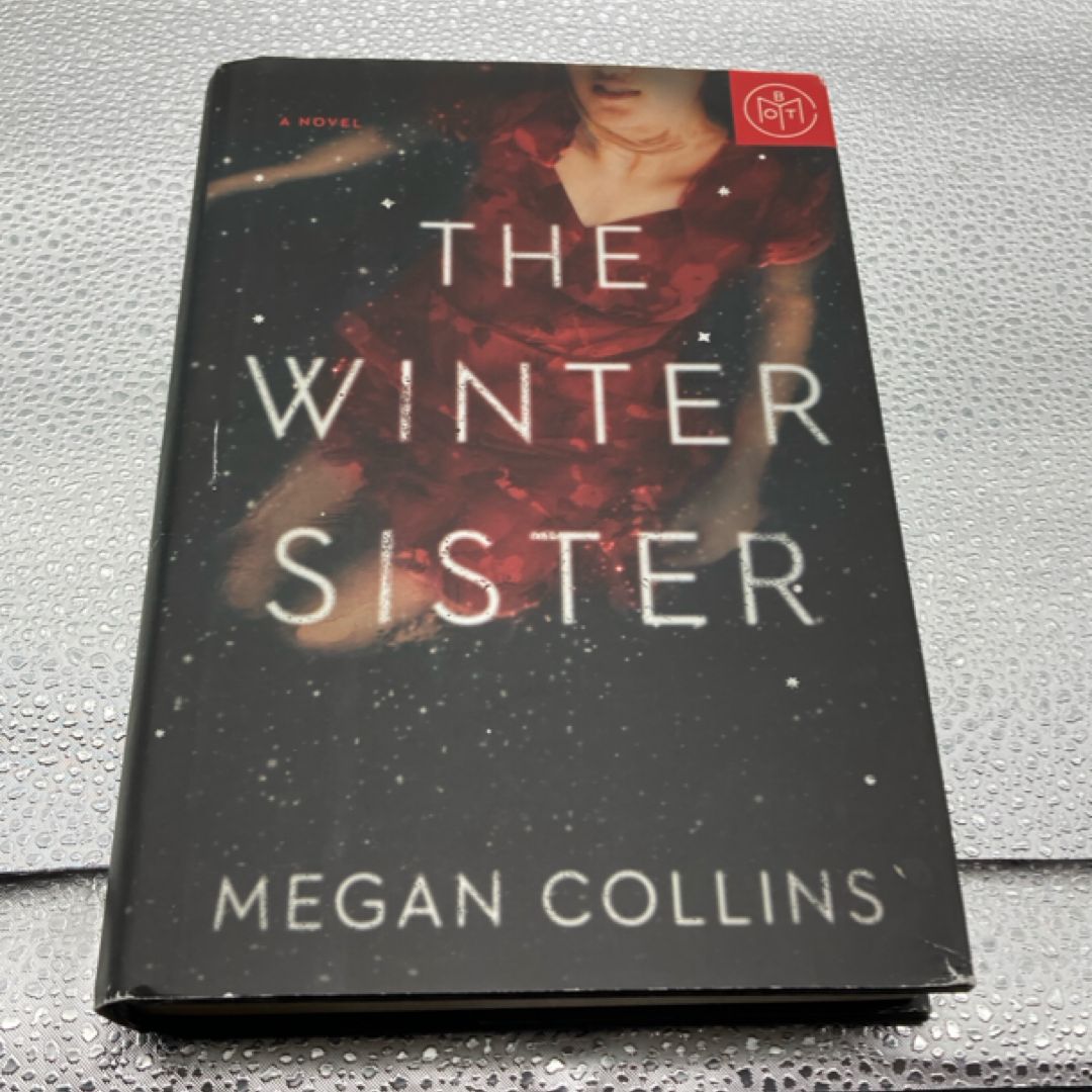 The Winter Sister